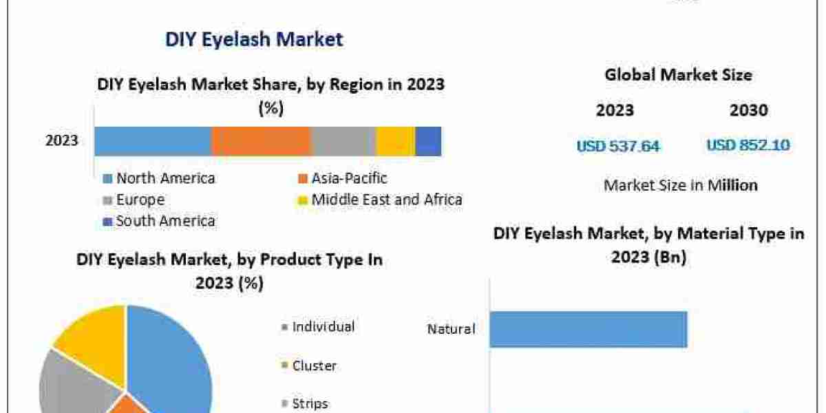 From US$ 537.64 Mn to US$ 852.10 Mn: The Growth Journey of the DIY Eyelash Market by 2030