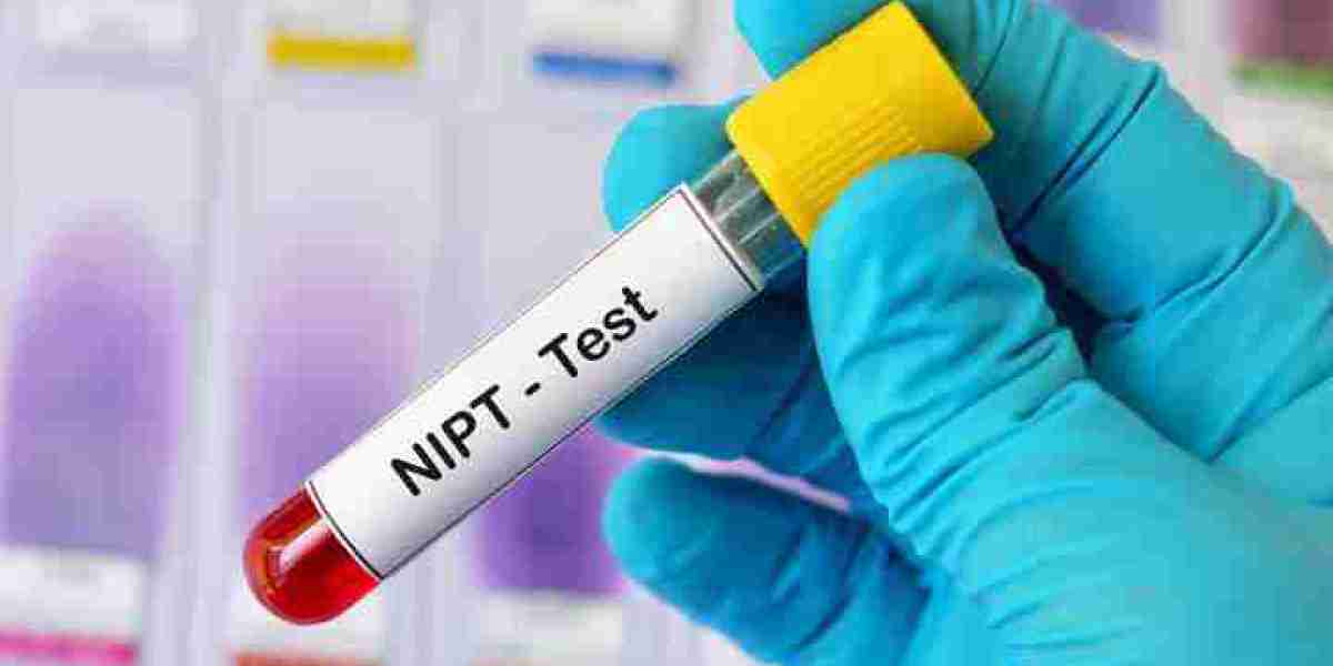 Understanding NIPT Blood Test Costs: A Guide for Expectant Parents