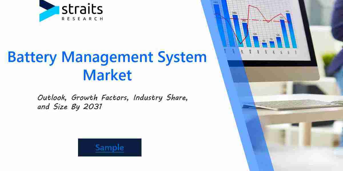 Global Battery Management System Market: Analyzing Segmentation, Demand, and Growth Potential Across Industries