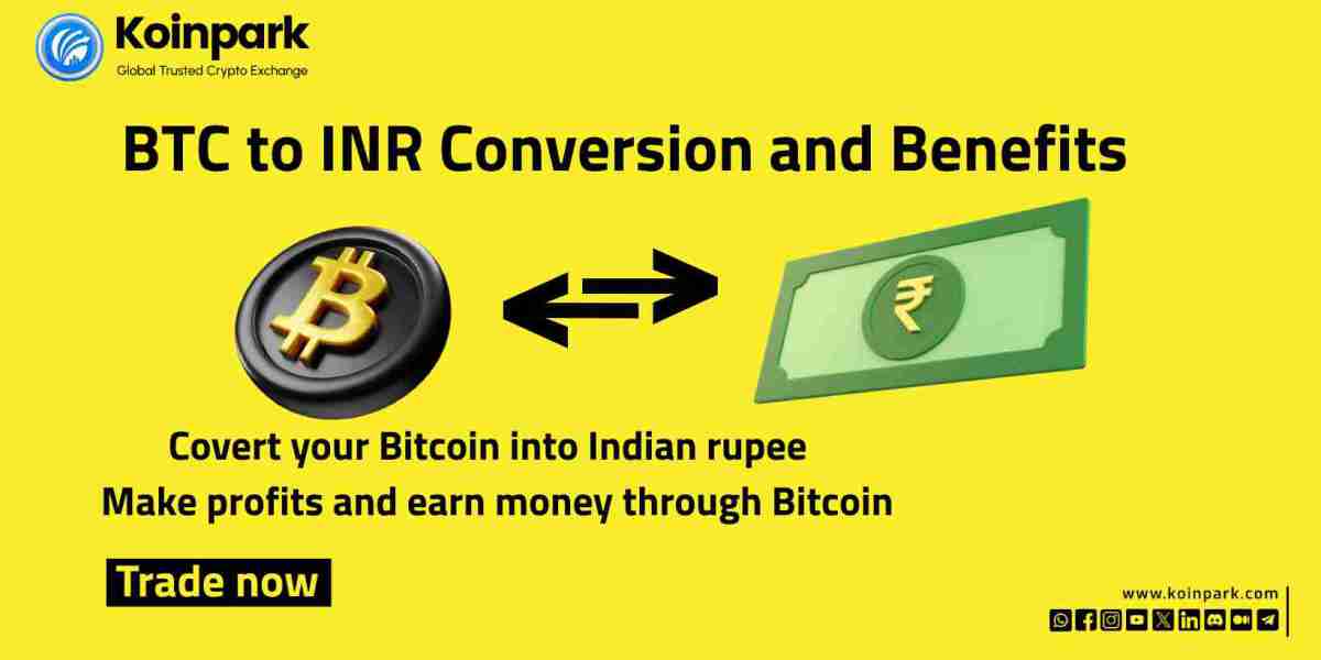 BTC to INR Conversion and Benefits