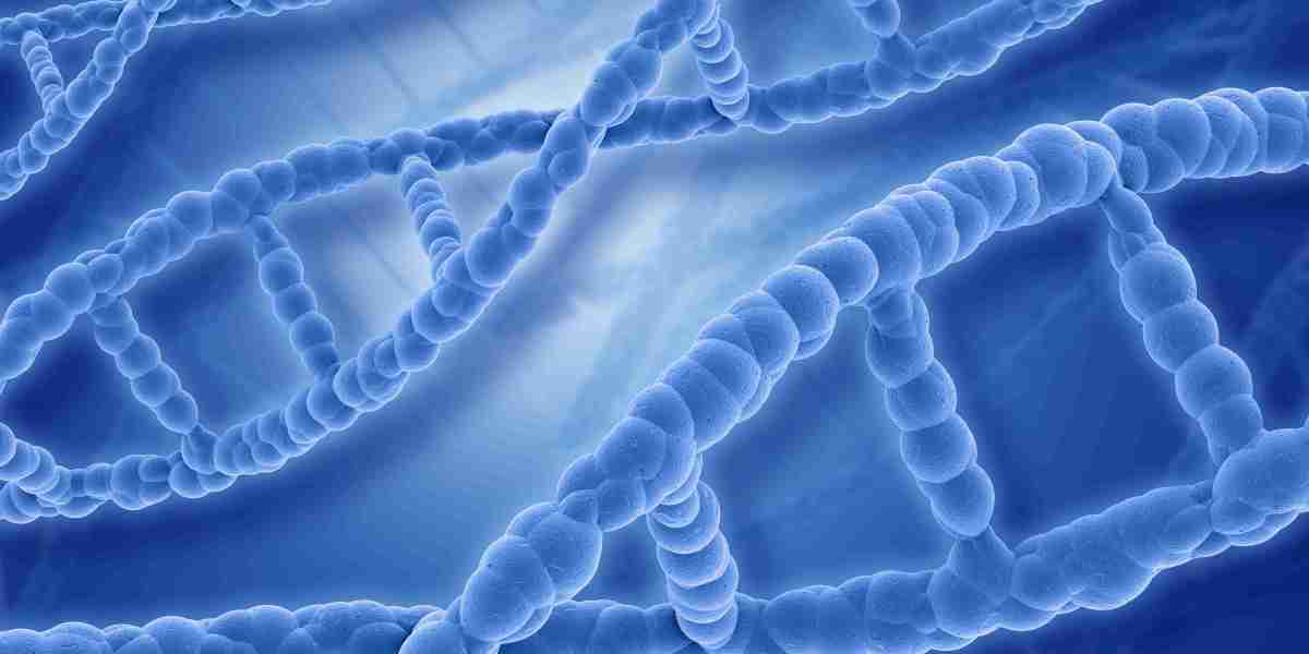 Chromosomes Explained: The Essential Chemical Components