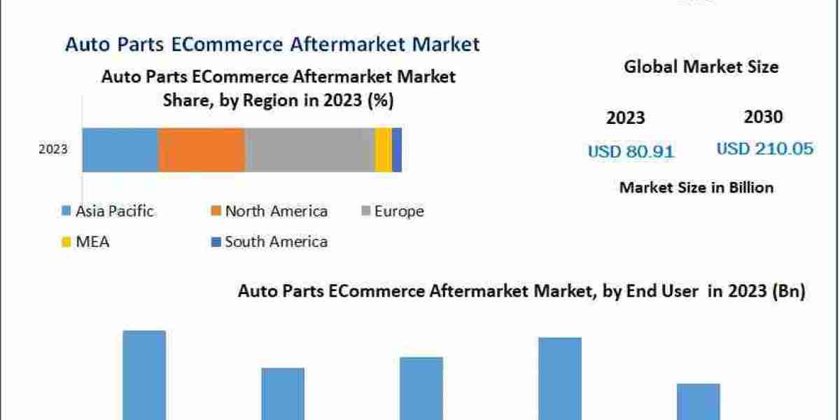 Auto Parts E-Commerce Aftermarket Market Growth Convenience and Digital Transformation