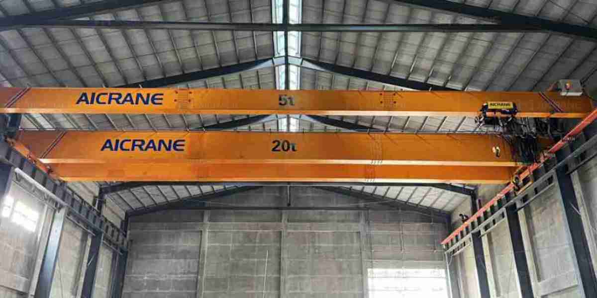 Why Warehouse Overhead Cranes are Ideal for Energy-Efficient Operations