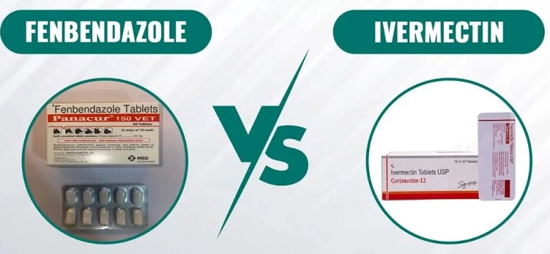 Can Ivermectin and Fenbendazole Help you Against Cancer? What are the Differences Between the Two?