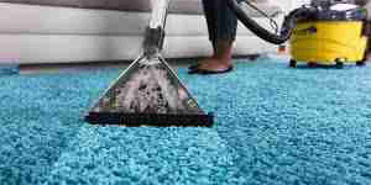 Why You Should Clean Your Carpets After the Holidays