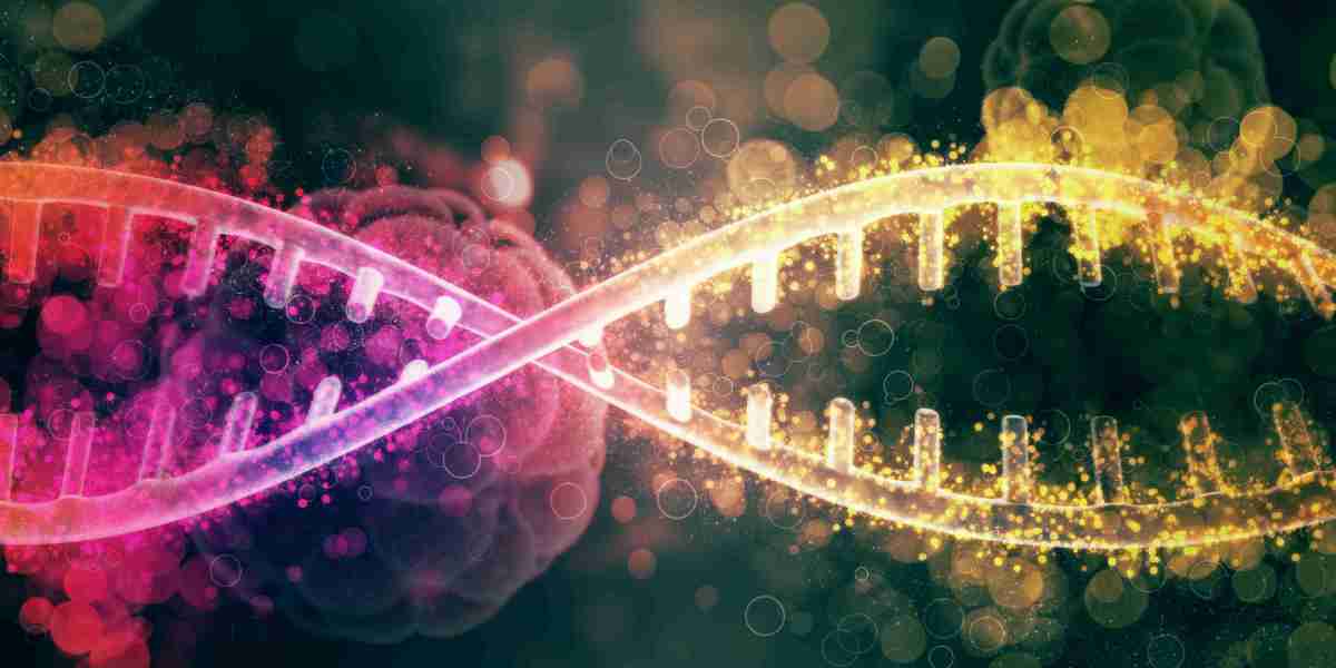 Chromatid vs Chromosome: Differences in Structure and Role