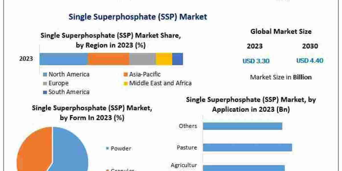 Single Superphosphate Market Outlook: Expanding Role in Global Agricultural Practices