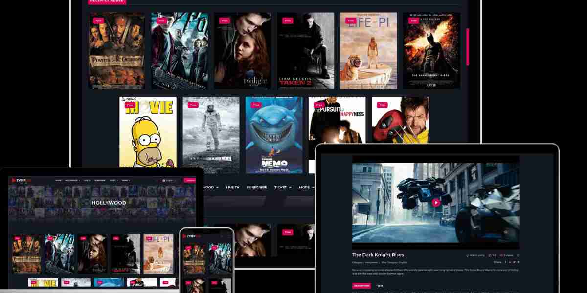 ZyberFlix: Redefining the Future of OTT for Entrepreneurs