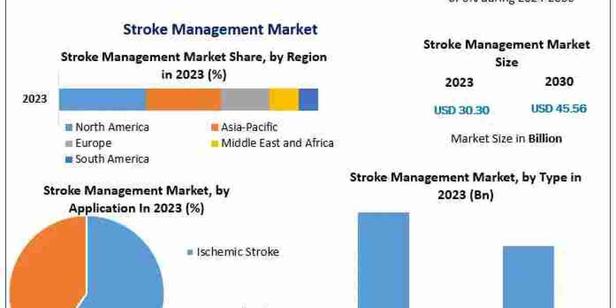 Stroke Management Market Sector Evaluation, Size, Principal Influences, and Future Changes