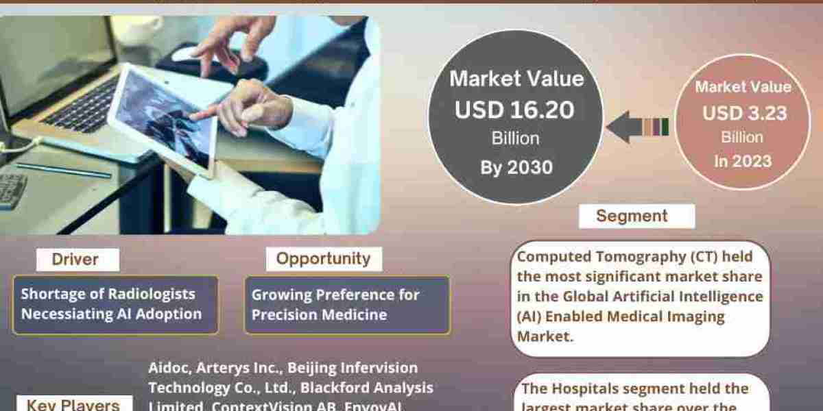 Global Artificial Intelligence (AI) Enabled Medical Imaging Market Expanding at a CAGR of 25.9% during 2024-2030