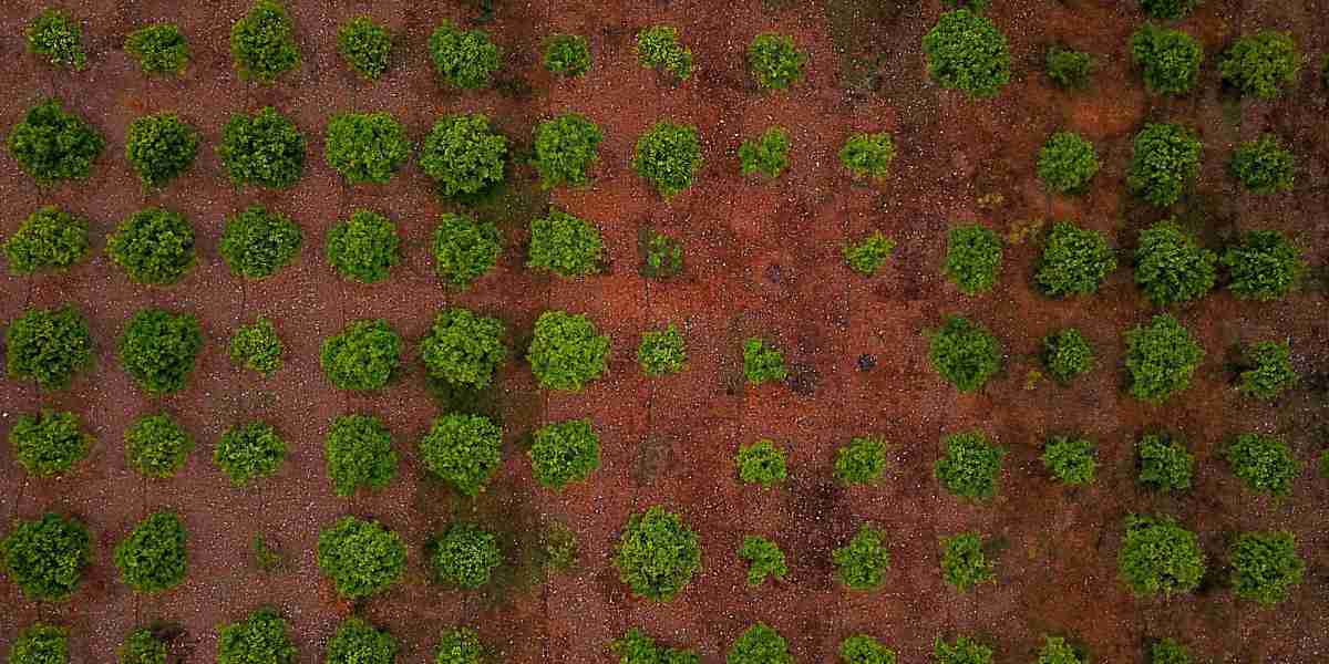 Farming Smarter: Eco-Friendly Pest Control Methods That Save Your Crops