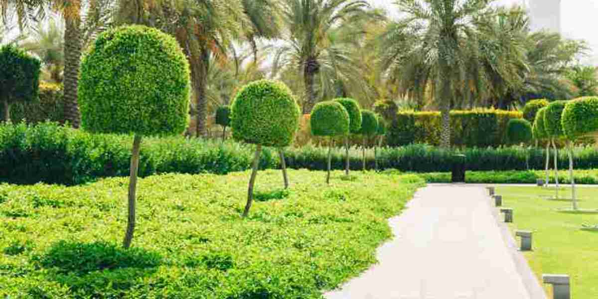 Home Supplies Plant In UAE