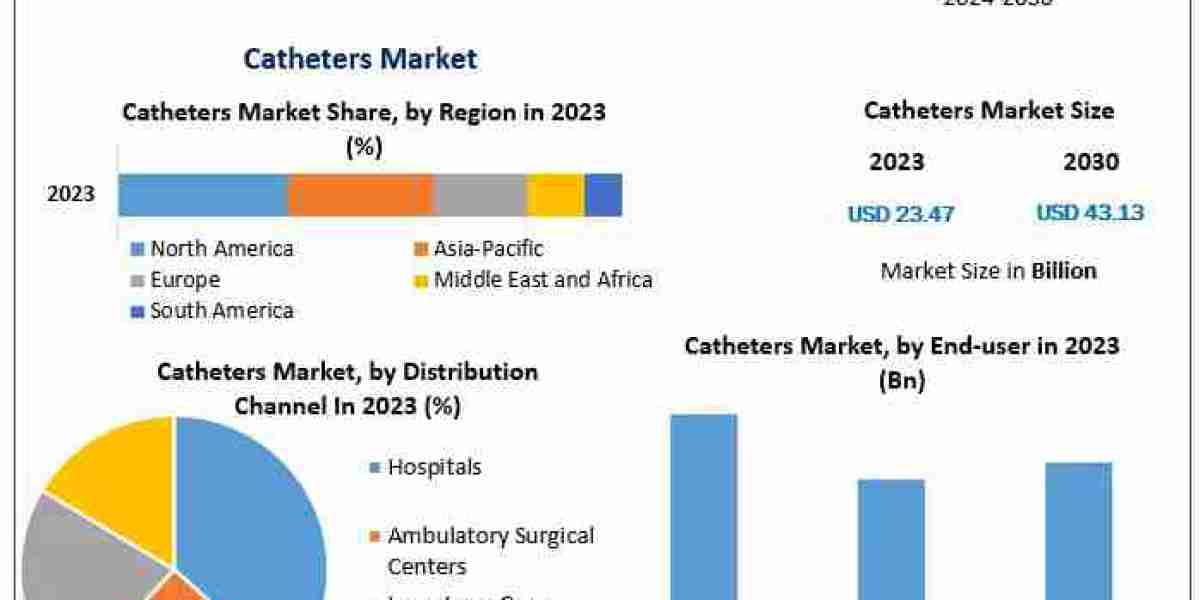 Steady Growth in Catheters Market Anticipated, Estimated to Reach USD 43.13 Billion by 2030