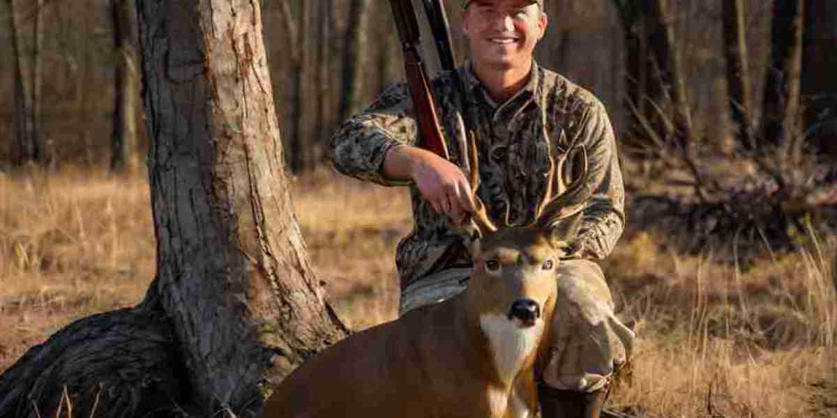 The Next 4 Things You Should Do For Wildlife Hunting Permits Success