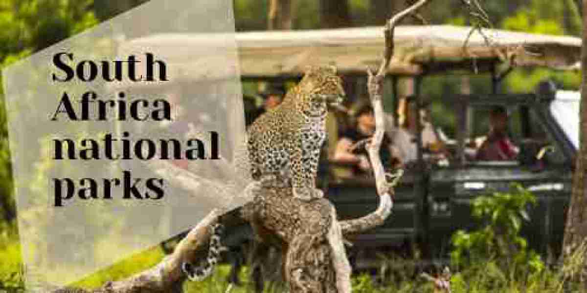 Unveiling Kenya's Wonders: A Journey Through its UNESCO World Heritage Sites