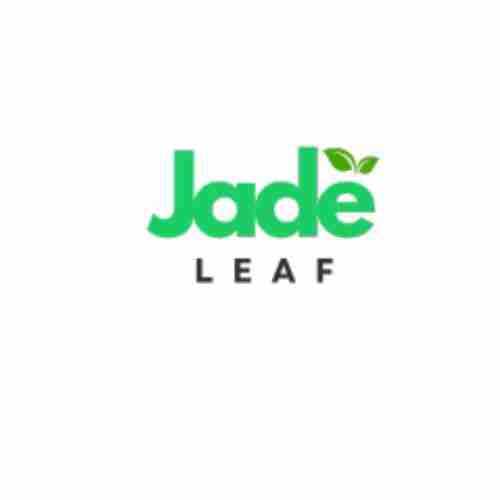 Jade Leaf Profile Picture