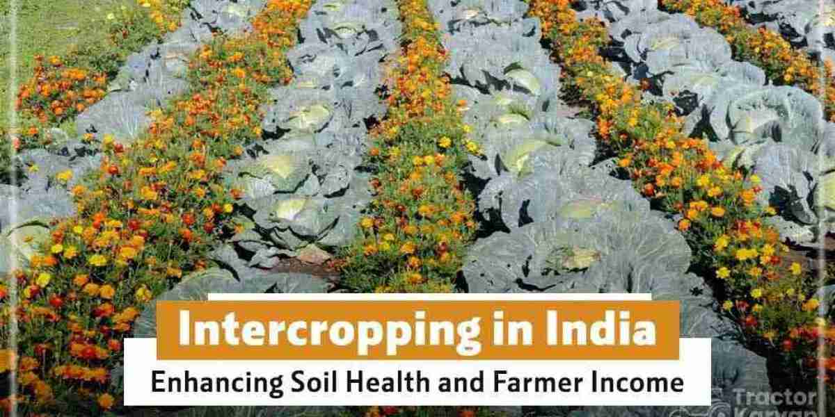 Types of Intercropping System in India