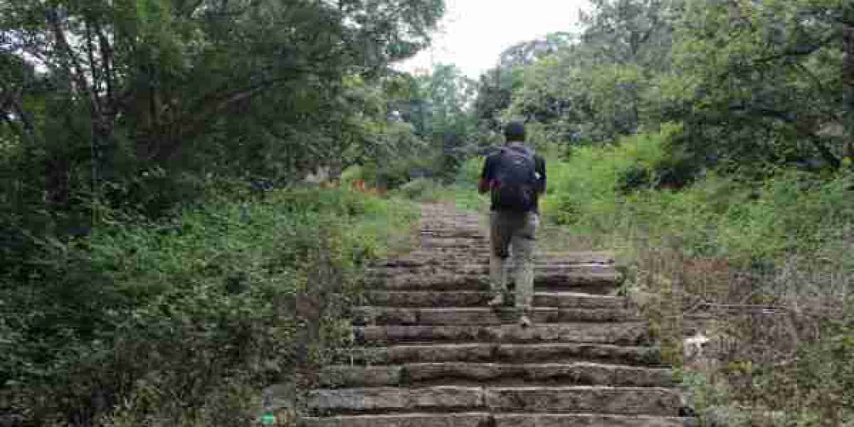 Top 7 Trekking Trails Near Bangalore for a Quick Escape