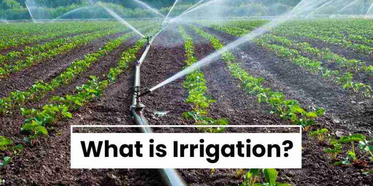 A Brief Description of the Irrigation System in India