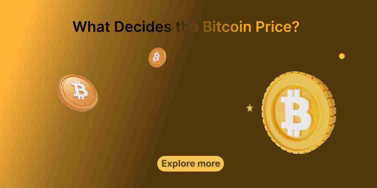 What Decides the Bitcoin Price?