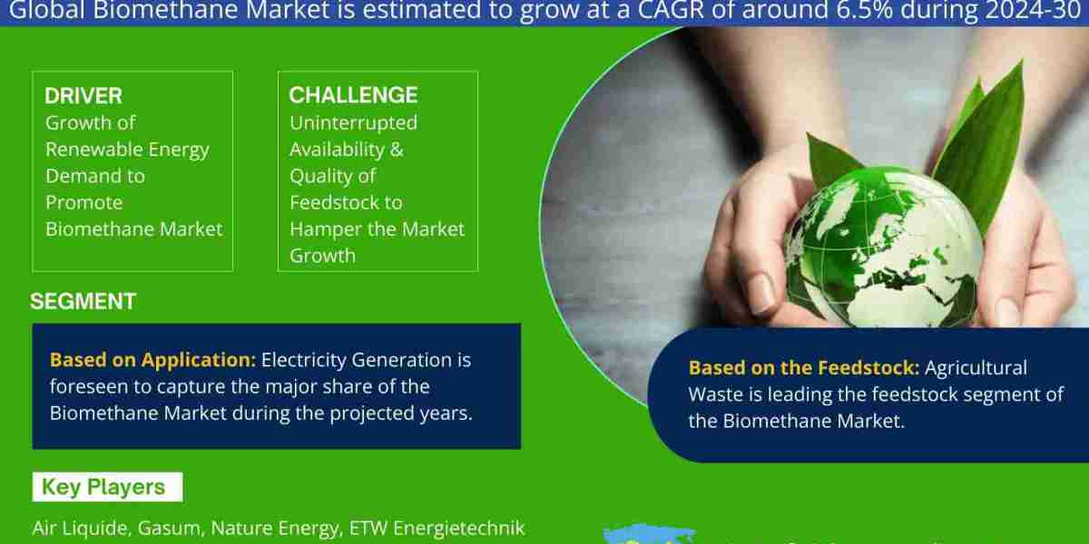 Mapping the Global Biomethane Market Landscape: Key Players, Challenges, and Future Prospects