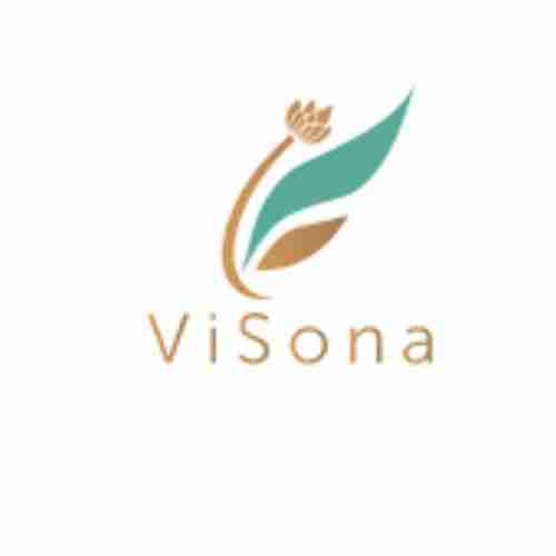 Visona LLC Profile Picture