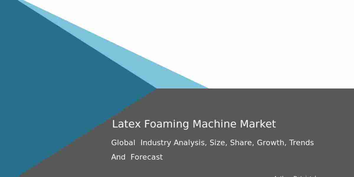 Analyzing the Latex Foaming Machine Market in 2024: Key Insights and Growth Trends