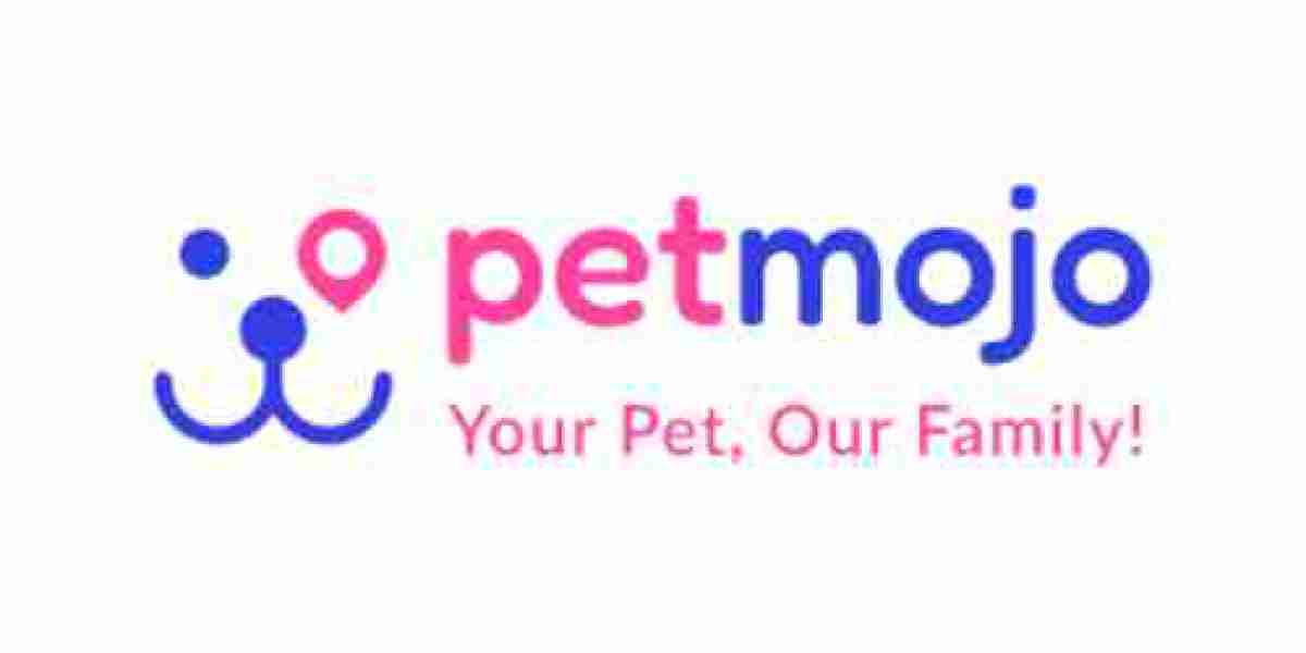 Revolutionizing Pet Care: Meeting the Needs of Modern Pet Parents ?