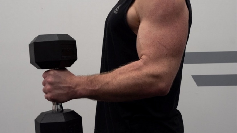 Benefits and Guide to Hammer Curls for Stronger Biceps 2024