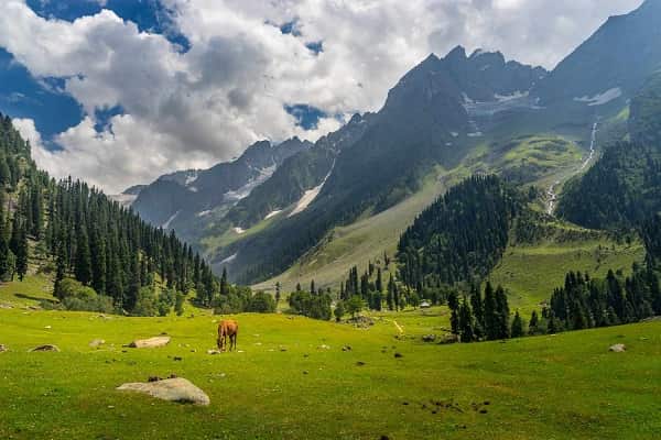 Kashmir Tour Packages From Chennai | Book Now