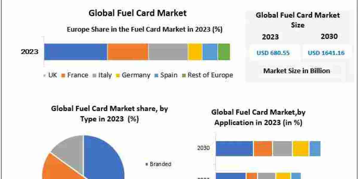 Global Fuel Card Market Analysis: Doubling in Size to USD 1641.16 Billion by 2030