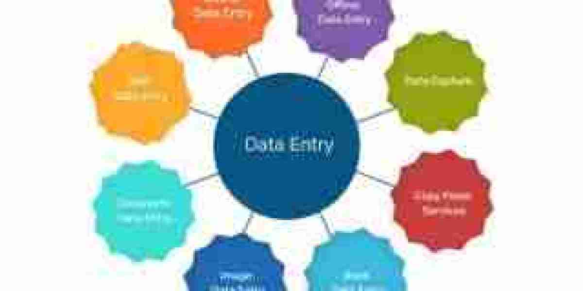 Data entry project provider in Noida