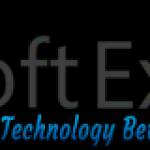 it soft expert Profile Picture