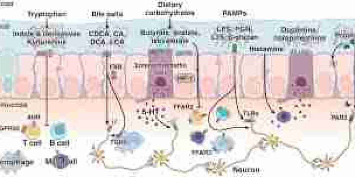 How Peripherally Acting Muscle Relaxants Work & Benefits