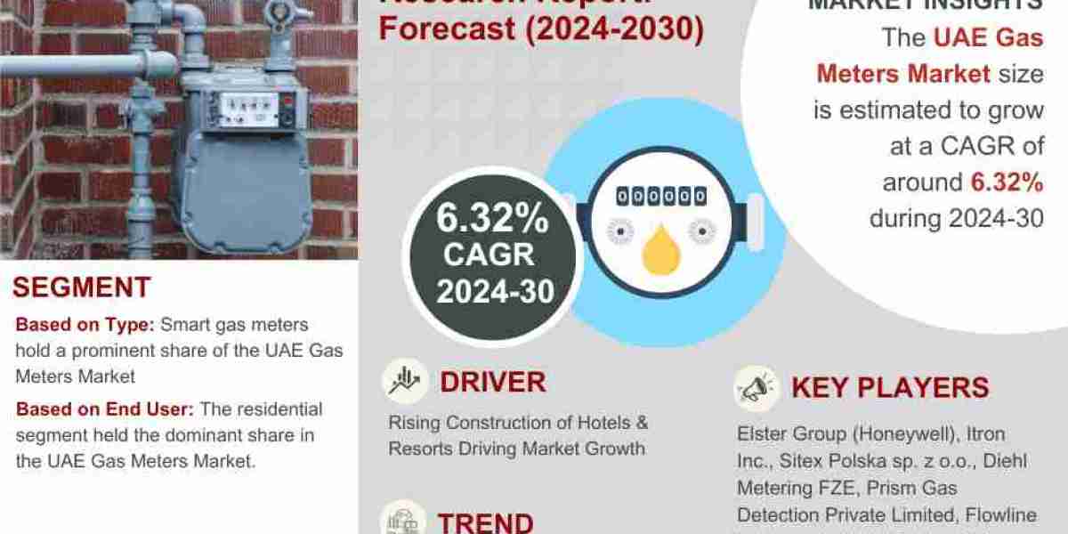 United Arab Emirates (UAE) Gas Meters Market Forecast: Share, Demand, Size, and Trends Through 2030