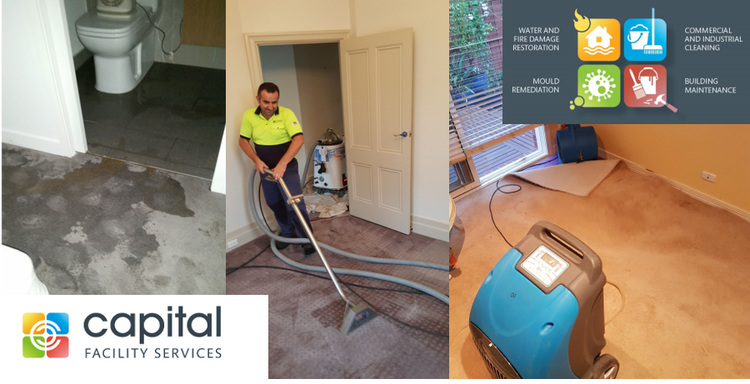 Expert Water Damage Restoration in Melbourne with Capital Facility Services - Professional Website Blog Article By Capital Facility Services