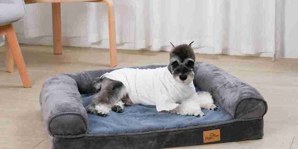 The Ultimate Guide to Comfortable Dog Beds: Ensuring Restful Sleep for Your Furry Friend