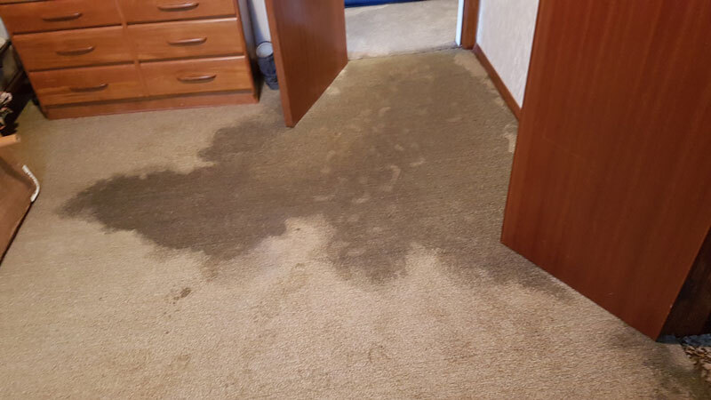 Emergency Carpet Drying Melbourne: Your Trusted Carpet Drying Service