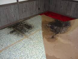 Why hire dry wet carpet cleaning and get quality work? - AtoAllinks