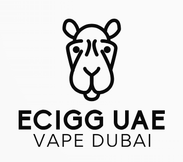 Electronic Cigarette Products