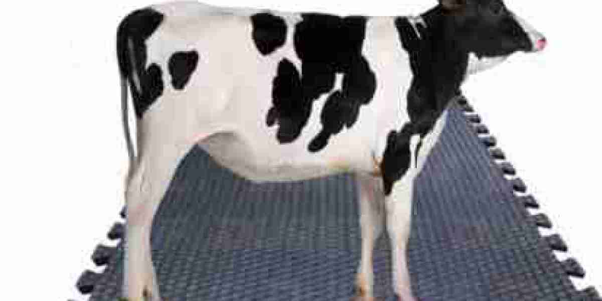 6 Common Mistakes in Milking Parlor Mat Selection