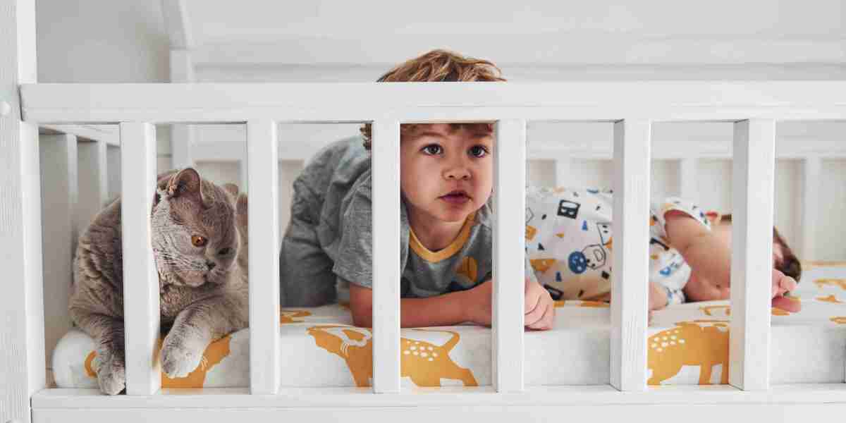 Discovering the Best Cribs for Newborns: A Comprehensive Guide