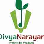 divya narayani Profile Picture