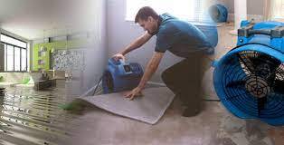 Restore Your Water Damage Carpet Melbourne By Saving Your Money