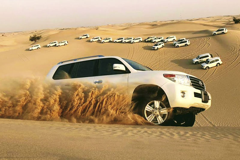 Abu Dhabi Desert Safaris - Budget Tours & Deals 2025