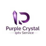 Purple Cystal crystal Profile Picture