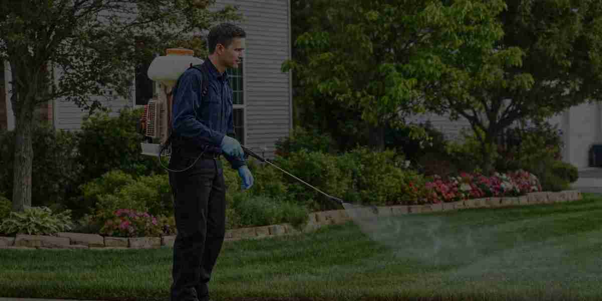 Pest Control Scarborough – Protect Your Home and Business