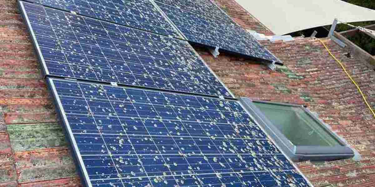 Solar Panel Cleaning Sydney: Maximize Your Energy Savings Today!