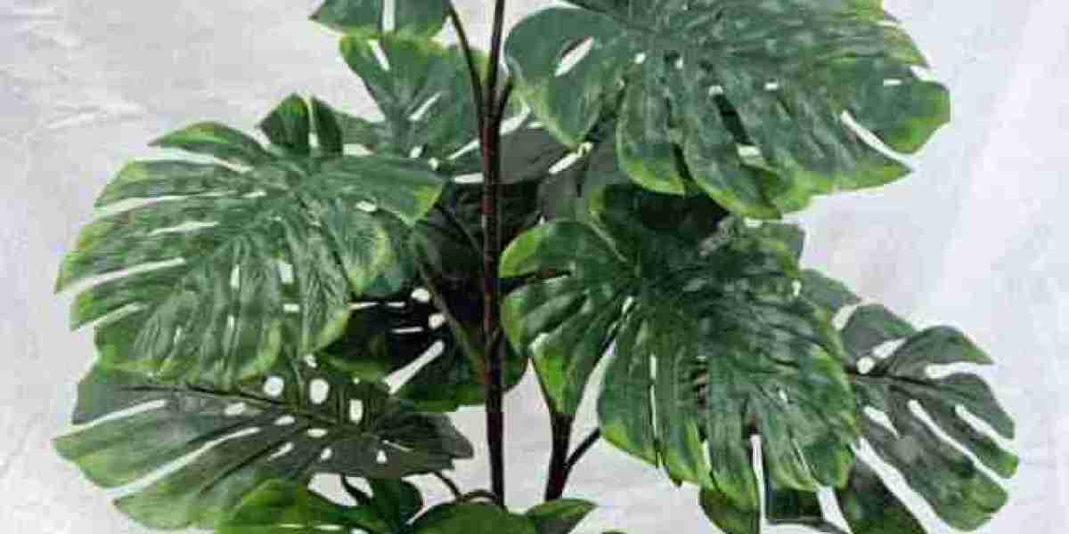 Artificial Plants Canada: Bring Life Indoors with Silk Plants Canada